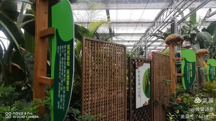 河北省故城县以岭康养庄园之中国金蝉文化馆